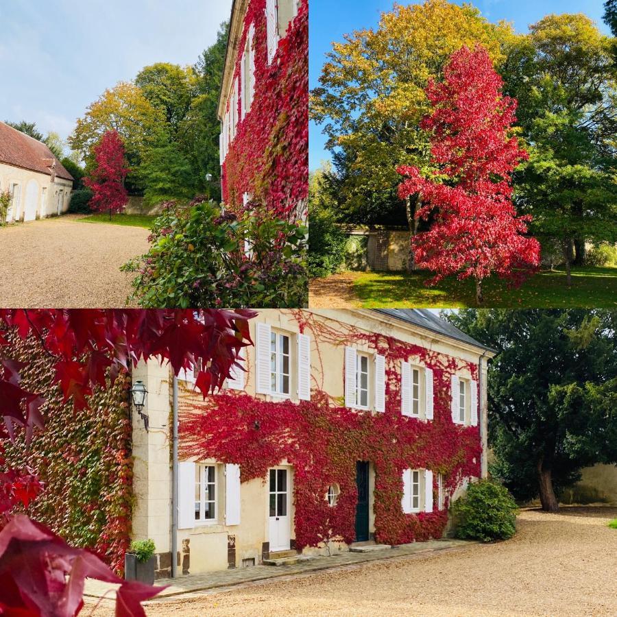 Les Couleurs Du Verger Maison d'hôtes Beaumont-les-Autels