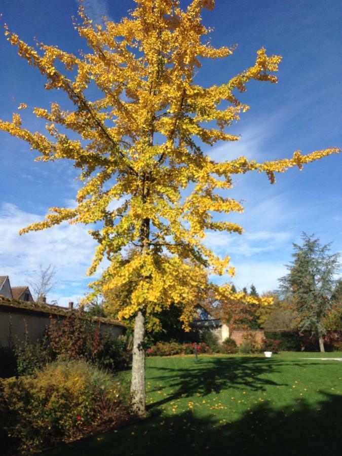 Les Couleurs Du Verger 5* Beaumont-les-Autels