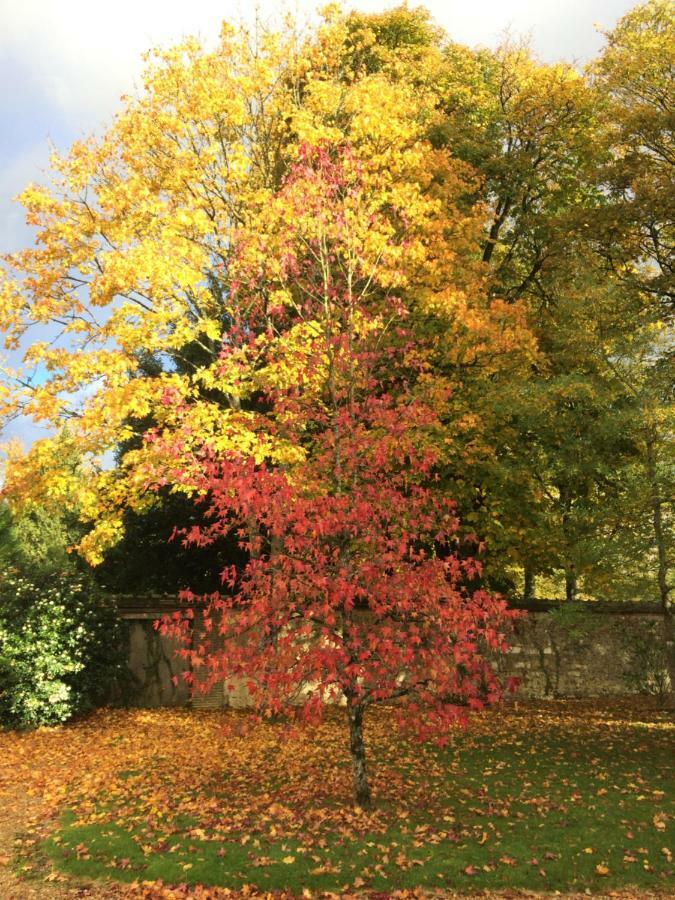 Les Couleurs Du Verger 5*